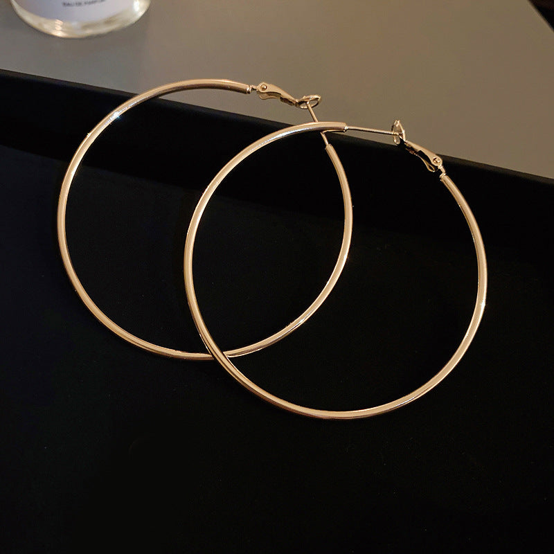 Women's Simple Geometric Niche Minimalist Design Cold Earrings