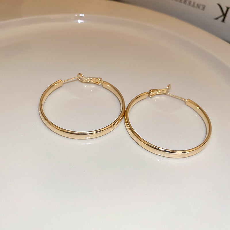 Women's Simple Geometric Niche Minimalist Design Cold Earrings